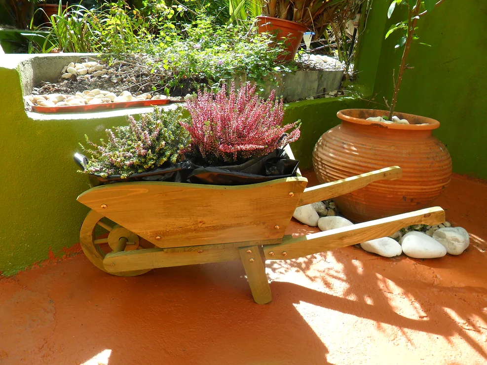 Maria-Jardinagem